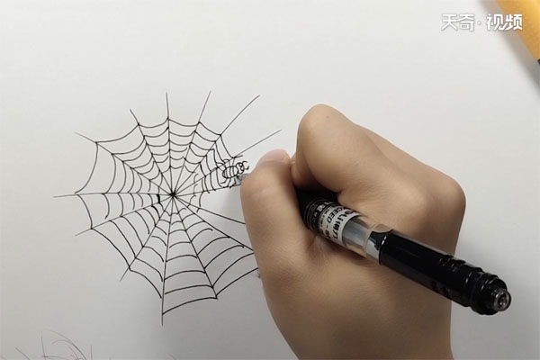 蜘蛛网简笔画