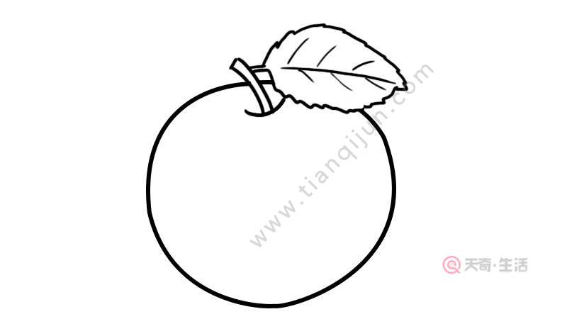 苹果简笔画