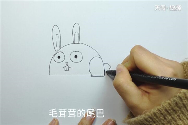 兔子的画法