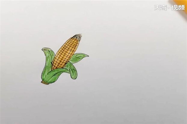 玉米的简笔画