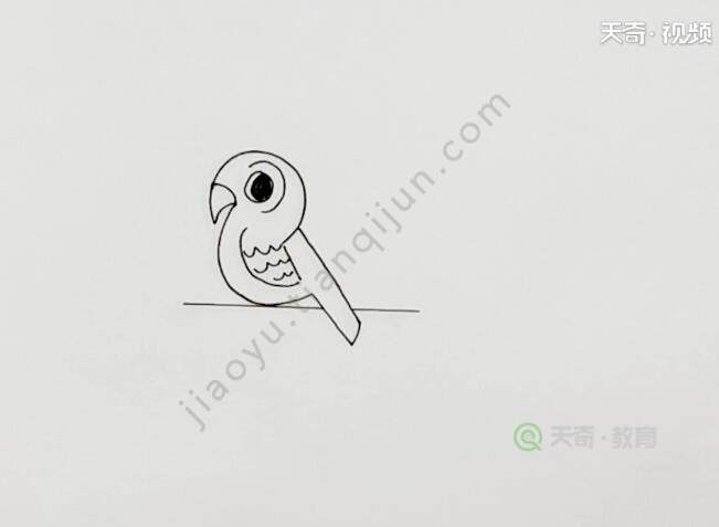 宠物鸟简笔画