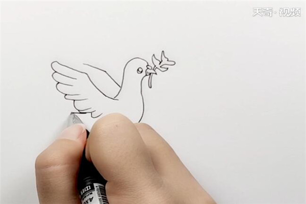 和平鸽简笔画