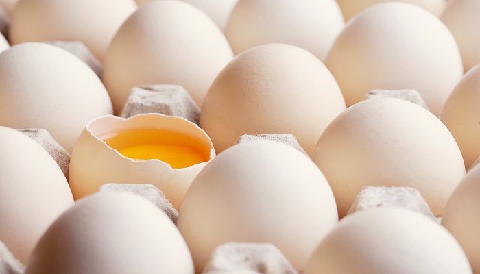 柴鸡蛋和普通鸡蛋的区别	
