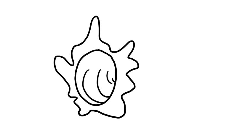 海螺简笔画