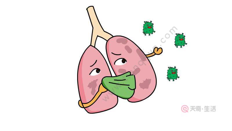 1,首先画出肺上的气管