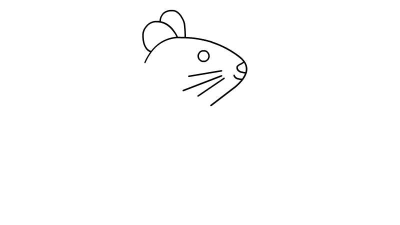 老鼠简笔画教程