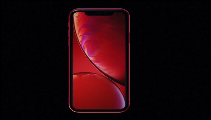 iPhone Xr.jpg