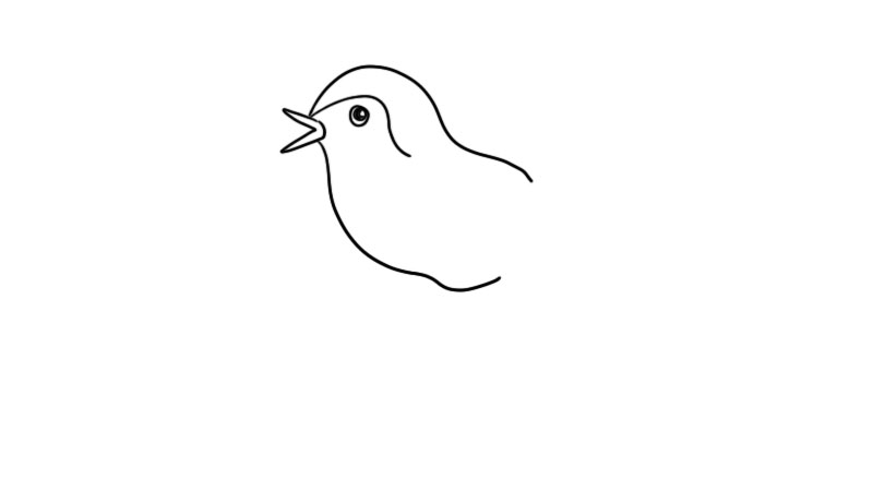 小鸟图片简笔画怎么画