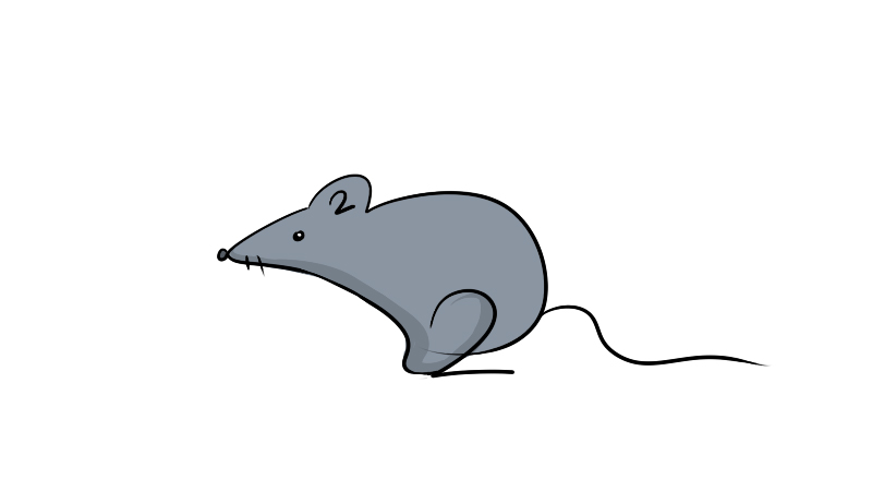 老鼠简笔画怎么画