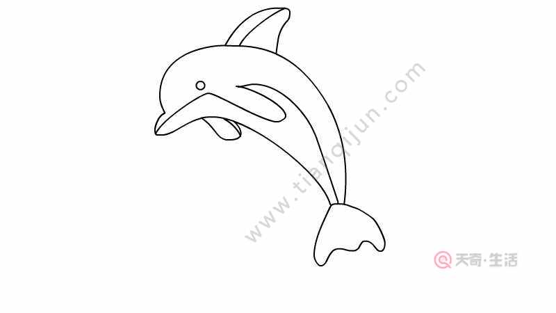 海洋鲸鱼简笔画