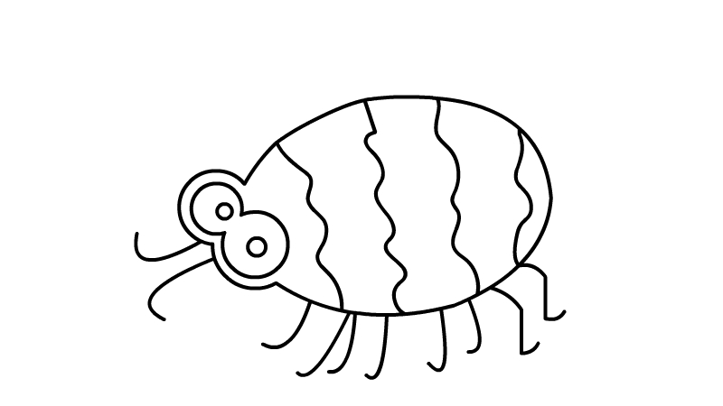 甲虫简笔画