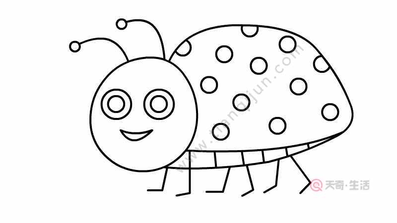 七星瓢虫简笔画