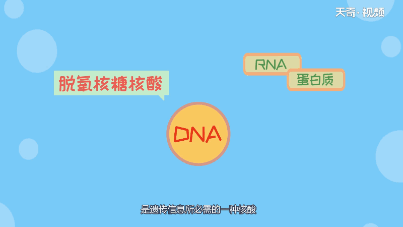 原核生物DNA在哪里 原核生物DNA