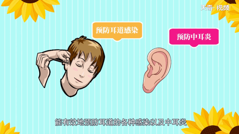 采耳的功效和作用 采耳的功效和作用有哪些