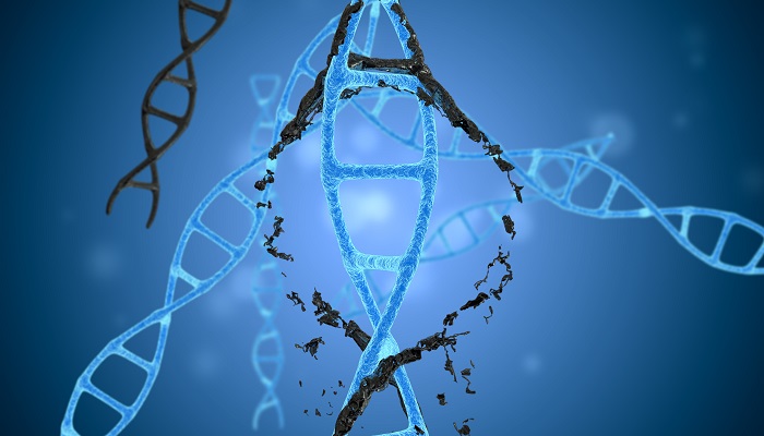 基因在染色体上呈什么排列