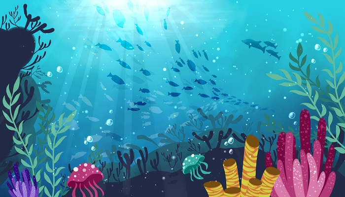 海底世界一文运用了什么的结构方式