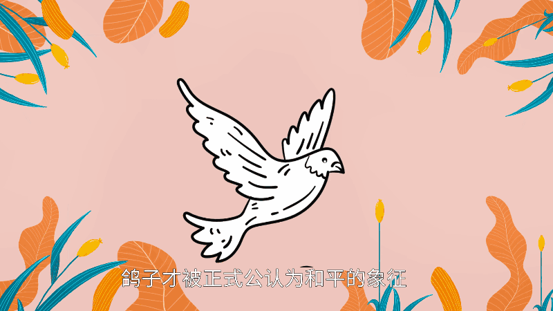 鸽子为什么是和平的象征 鸽子为何是和平的象征