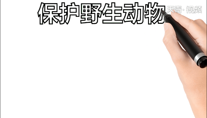 愛護野生動物手抄報 愛護野生動物畫報