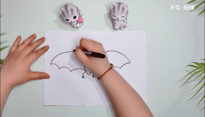 蝙蝠的简笔画 蝙蝠的画报