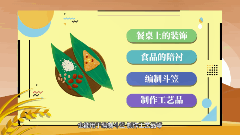 粽子叶是什么植物的叶子 粽子叶是哪种植物的叶子