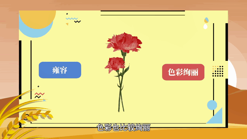 红色康乃馨花语 红色康乃馨花语是什么