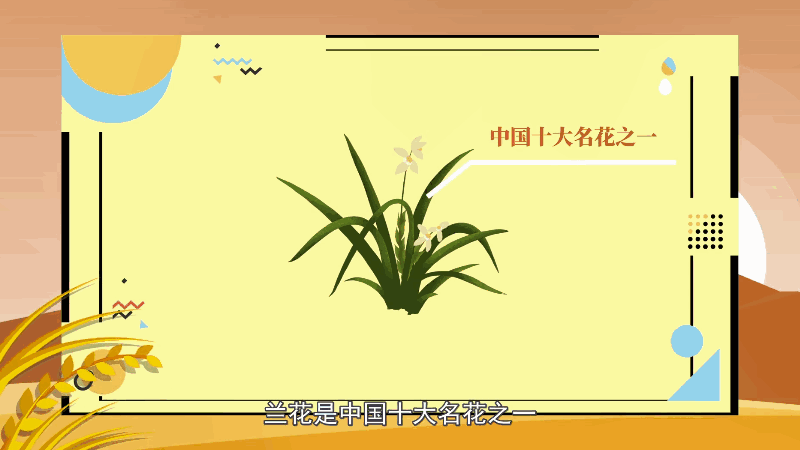 兰花花语 兰花花语是什么