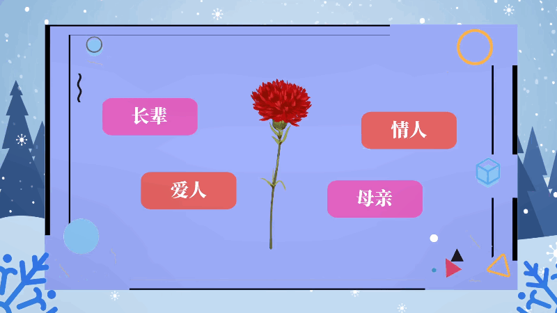 红色康乃馨花语 红色康乃馨花语是什么