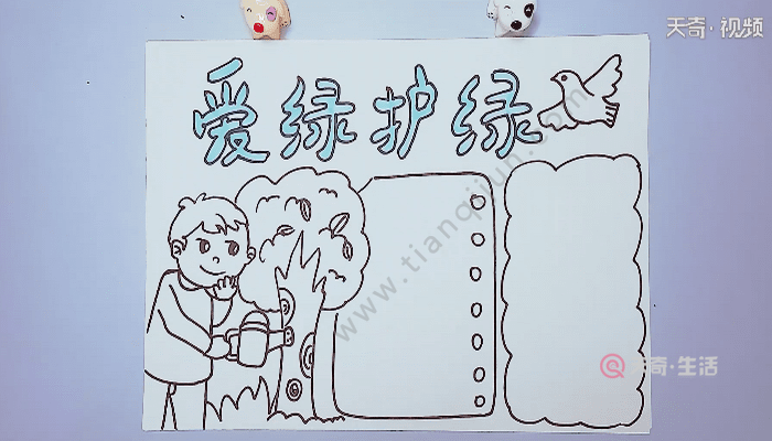爱绿护绿手抄报 爱绿护绿手抄报画报