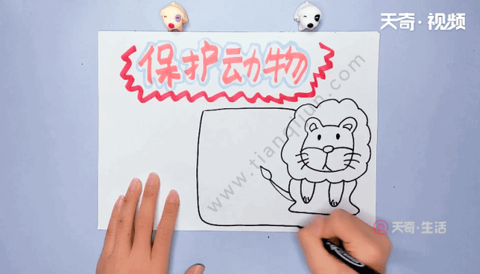 动物手抄报 动物手抄报画报
