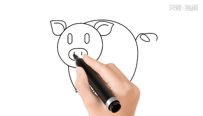 可爱小猪简笔画 可爱小猪简笔画怎么画