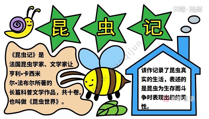 昆虫记手抄报 昆虫记手抄报怎么画