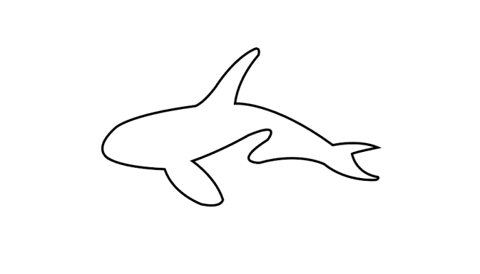 虎鲸简笔画