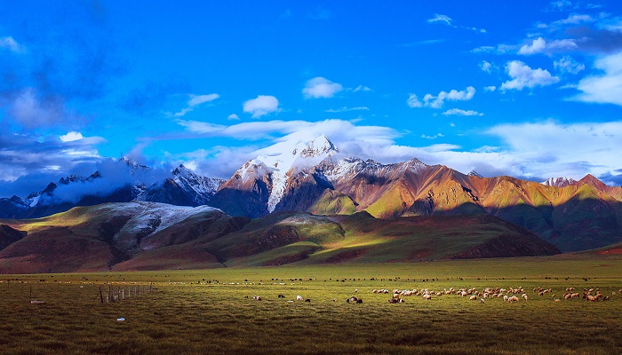 形容西藏雪山的诗句