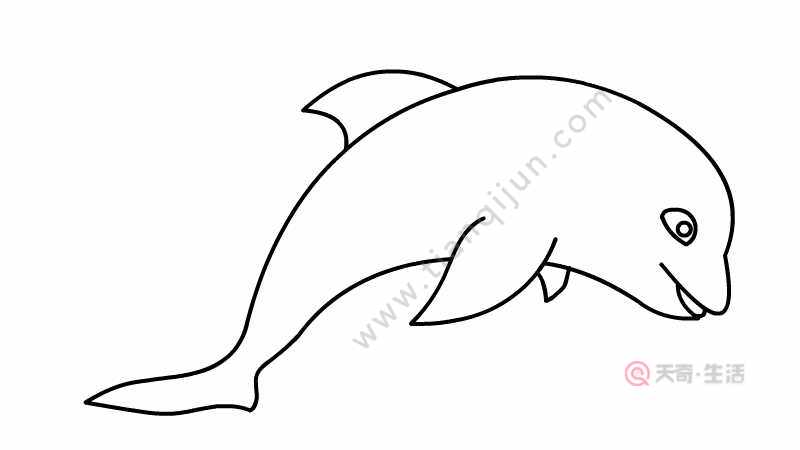 海豚简笔画 海豚怎么画