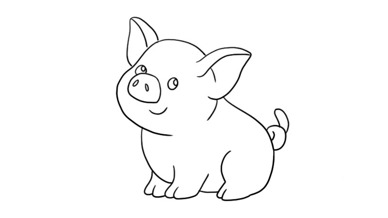 小猪怎么画