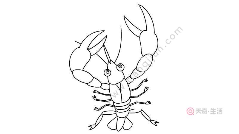 龙虾怎么画 龙虾简笔画