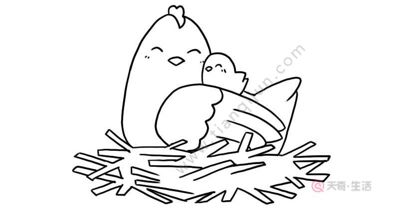 母鸡和小鸡简笔画 母鸡和小鸡简笔画怎么画