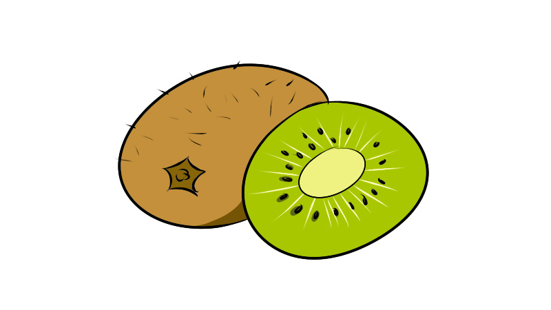 kiwi fruit猕猴桃简笔画