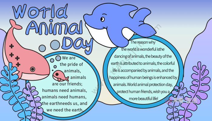 英语世界动物日手抄报 世界动物日的手抄报怎么画