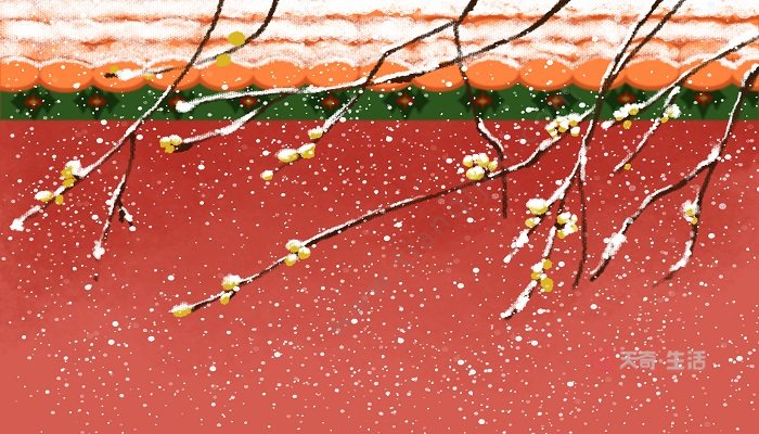 雪梅其二的意思