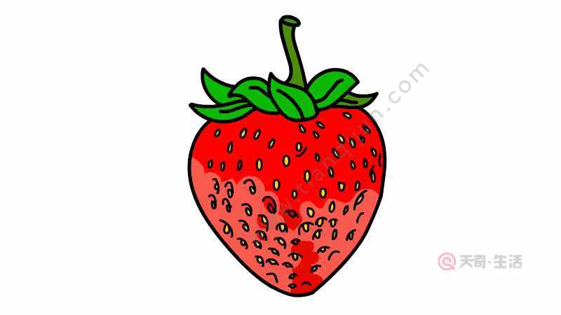 草莓简笔画 草莓简笔画怎么画