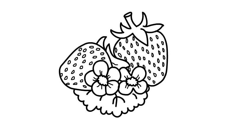 草莓和花简笔画