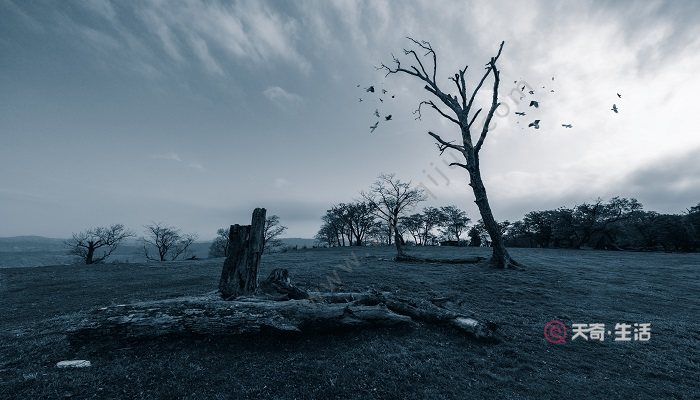 《天净沙·秋思》勾勒了一幅凄凉萧条的秋景图像,以及与之形成鲜明