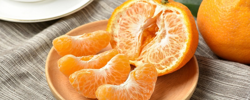 橘子公母怎么区分的