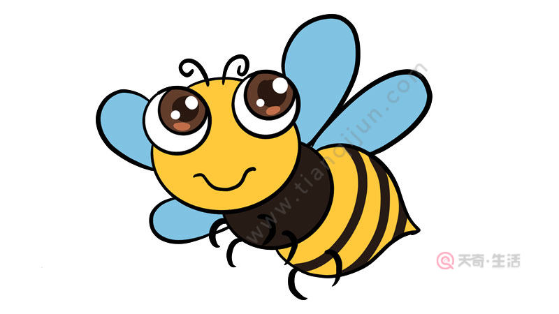 蜜蜂简笔画 蜜蜂简笔画的画法