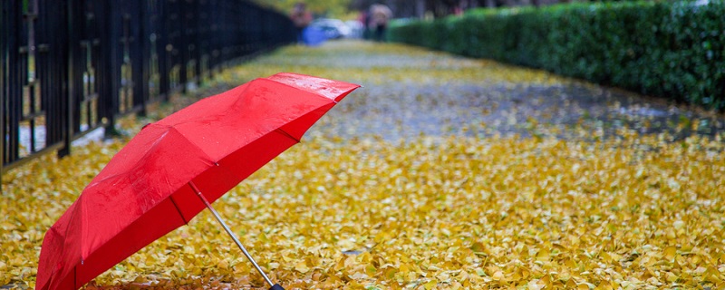 一场秋雨的拼音