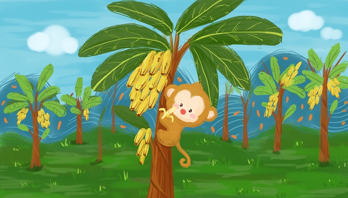 猴子种果树告诉我们一个什么道理