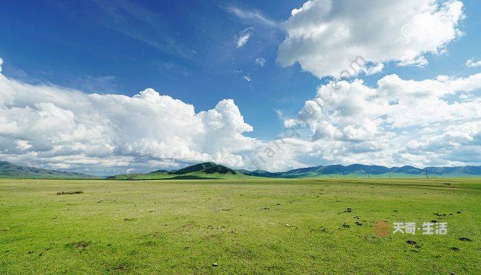 敕勒歌描写天空苍阔辽远原野碧绿无垠的诗句是 敕勒歌描写的是一首