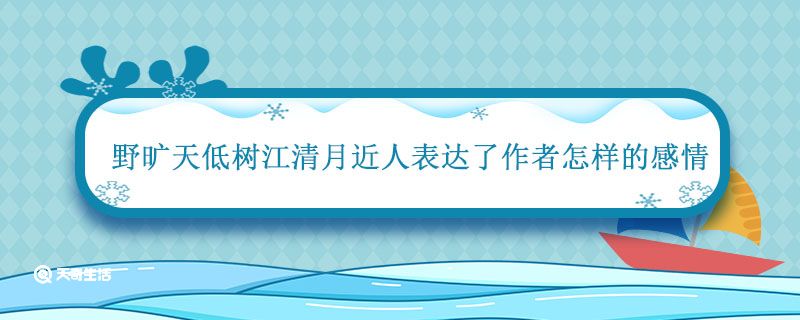 野旷天低树江清月近人表达了作者怎样的感情