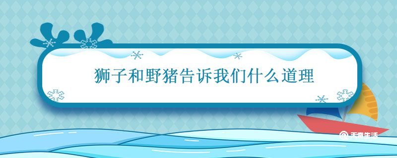 獅子和野豬告訴我們什么道理